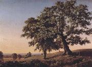 The Charter Oak